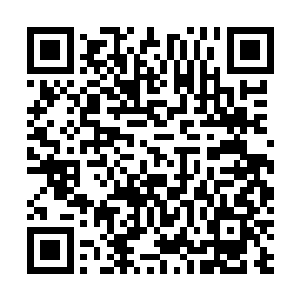 不过当它的目光落在夏云杰的身上时却突然变得温柔起来二维码生成