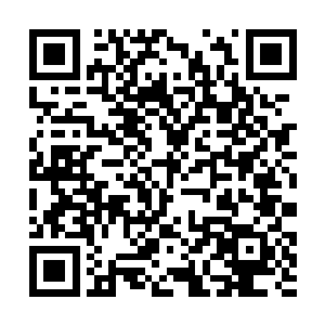 不过当林辰将手中的金卡递到其中一名保安的手上时二维码生成