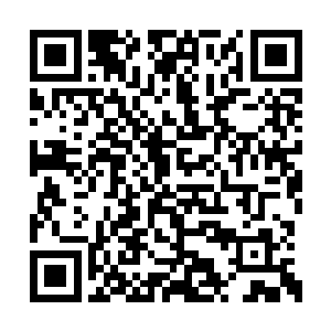 不过当林辰的身影渐渐出现在身后女子的眼中时二维码生成