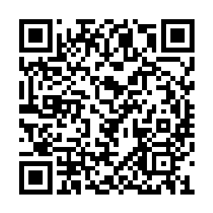 不过当白奇雪笑眯着眼睛把头点下来的那一瞬间二维码生成