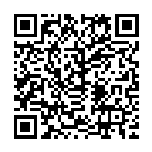 不过当看到龙傲天竟然只用了一只手便将黎叔的飞剑夹住了之后二维码生成