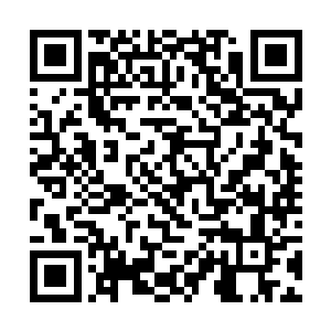 不过当这些人忽然看到出现在他们面前的陈挂面之后二维码生成