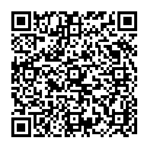 不过当这小子从唐浩的手中接过了一个大红包的时候瞧了一眼就立刻眉开眼笑了起来二维码生成