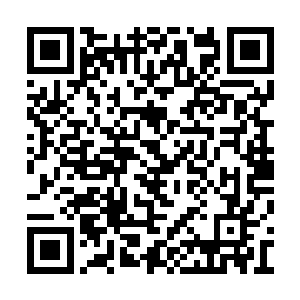 不过很快却都下意识地把目光投在了马易的身上二维码生成