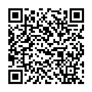 不过很快所有人的目光随即从紫色的莲花上面移开二维码生成