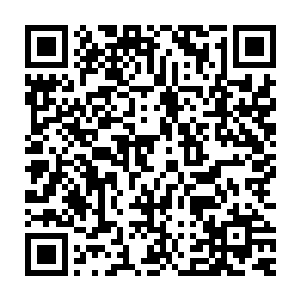 不过很快沈丽缇就被自己这个突然冒出来的奇怪念头给吓了一大跳二维码生成