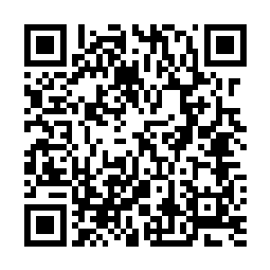 不过很快网民们对苏叶的称呼就非常有默契的变成了牲口二维码生成