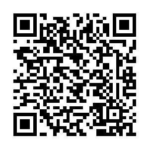 不过心中也知道沙小凡的修为提升从此就会放慢二维码生成
