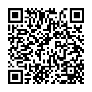 不过您这里散养的东西真的比那边岛上好了一万倍二维码生成