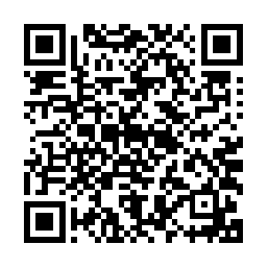 不过想不到却看到灵越派贺道友师徒居然还想要投机取巧杀我二维码生成