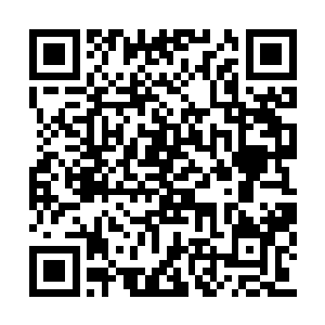 不过想来也应该足够打车去到那个神秘组织里了二维码生成