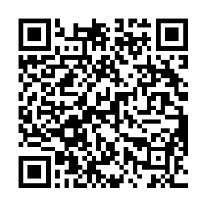 不过想要威胁到大乘期的修真者的话还是十分的困难的二维码生成