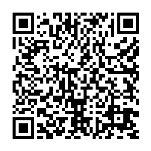 不过想要搂着怀里面妞的时候才发现她好像是一条美人鱼一样的溜走了二维码生成