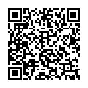 不过想要研究出圣级修士联手融合成一个小星系二维码生成