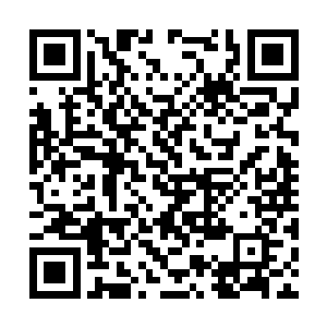 不过想起东方啸竟然让她以后可以随意出入这个家二维码生成