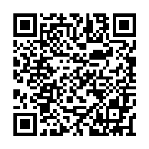 不过成亲亲前一天你必须老老实实地呆在屋子里二维码生成