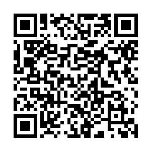 不过我们丹行商行的实力可不是妖族狩猎者能够打劫的二维码生成
