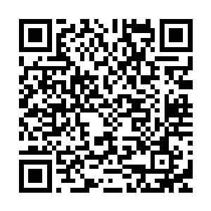 不过我们家那群目中无人的老爷子们可不会这么轻易地放了我二维码生成
