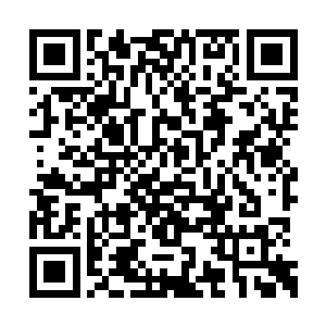 不过我们打心底里是不希望老祖这样子做的……二维码生成