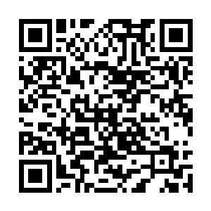 不过我估计魏行侠应该与陶行驹和傅天杭也挺熟悉二维码生成