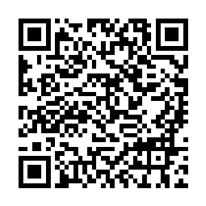 不过我刚刚回到了落后飞鲸一段距离的蛤蟆大仙这里二维码生成