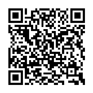 不过我却有荒兽泥沼蟹的尸体可以代替元石交易二维码生成