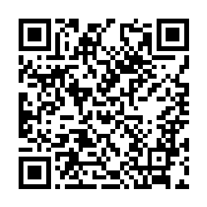 不过我只想用我这个笨蛋的脑子解决我自己的事情二维码生成