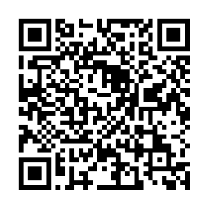 不过我好像听过叶尘之前是燕国镇域将军叶天南的公子二维码生成