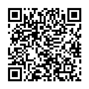 不过我希望你能支持警方扶植老七沈亮坐上新龙头的位置二维码生成