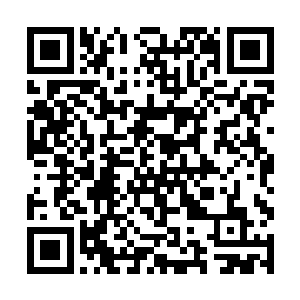 不过我怎么听说你还没有和你的未婚妻狄小言见过面二维码生成