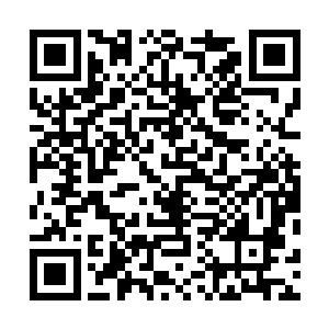 不过我怎么都没想到她竟然会固执地认为这是一个恶作剧二维码生成
