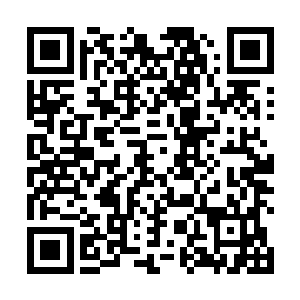 不过我想杀个十个八个分神后期的修士而不让他们跑掉二维码生成