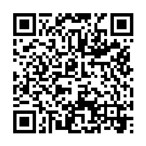 不过我感觉他们很有可能是朝着我们几大家族来的二维码生成
