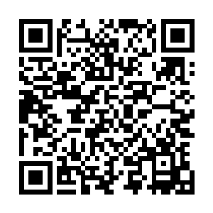 不过我感觉我和白奇雪之间的关系已经比之前亲密了很多了二维码生成