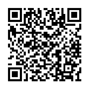 不过我没有把性命托付给不值得信任的人的习惯二维码生成