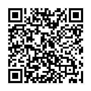 不过我现在就算告诉你我还有一百种方法可以弄死你二维码生成