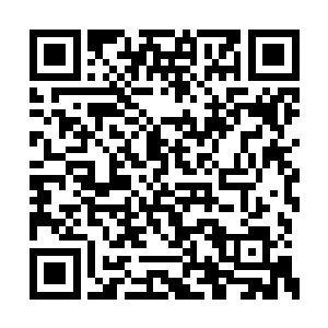 不过我看你的这辆法拉利已经是两年前的型号了二维码生成