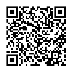 不过我看就你这样的低等级能力者还是别参加了吧二维码生成