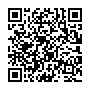 不过我觉得不如就趁这个拍卖会买几个特别的先准备二维码生成