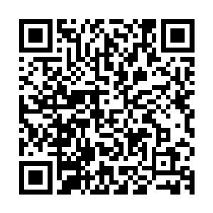 不过我记得金权坊市内好像有那么一家专门出售残缺秘籍的地方二维码生成