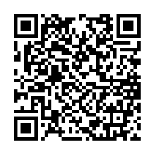 不过所有一切不过是为了满足你成为圣王而存在的二维码生成