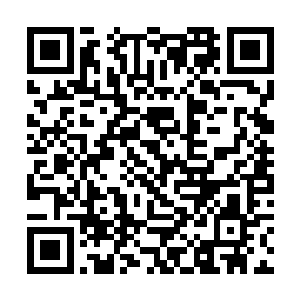 不过才让顾剑棠心目中完美的东线大局完了堪堪过半二维码生成