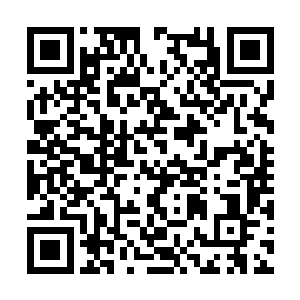 不过据说方国纲当时是很乐意担任省建委的主任的二维码生成