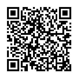 不过接下来发生的一幕却是令小金还有龙傲天彻底的惊呆了二维码生成