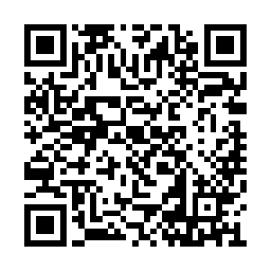 不过放下几头独角龙兽幼崽的动作却是轻柔无比二维码生成