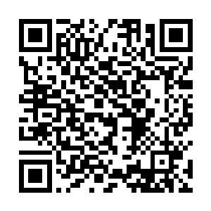 不过旋即当他们发现盘坐在三座聚灵神山之间的剑尘时二维码生成