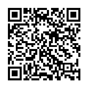 不过无极境却还是能够看出空间在能量下的一些波折阴影二维码生成