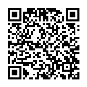 不过明天这群小兔崽子就要和丹院的学生进行比赛了二维码生成