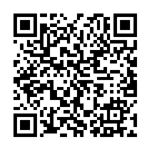 不过是一只浑身散发着森冷光芒的钢精锻造出来的老虎二维码生成