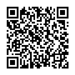 不过是家里一些小辈自作聪明搞出来的事情罢了……二维码生成